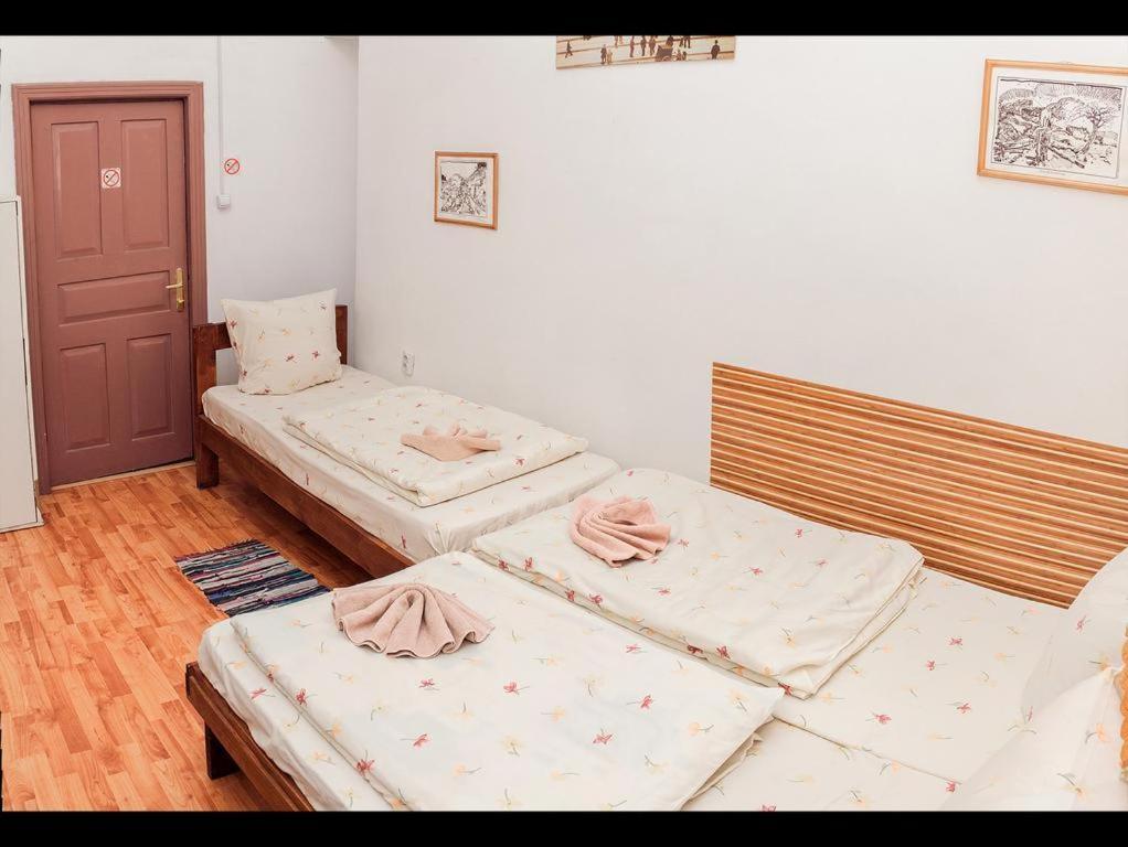 إلفيف Apple Hostel المظهر الخارجي الصورة